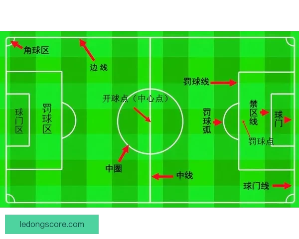 世界杯足球竞猜盘口深度解析与投注技巧全面指南助赢赛场胜负走势预测